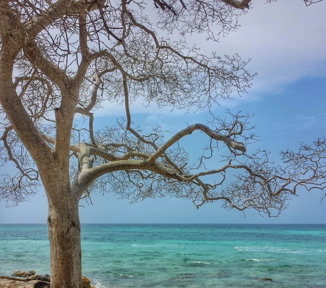 Playa Blanca, Colombia