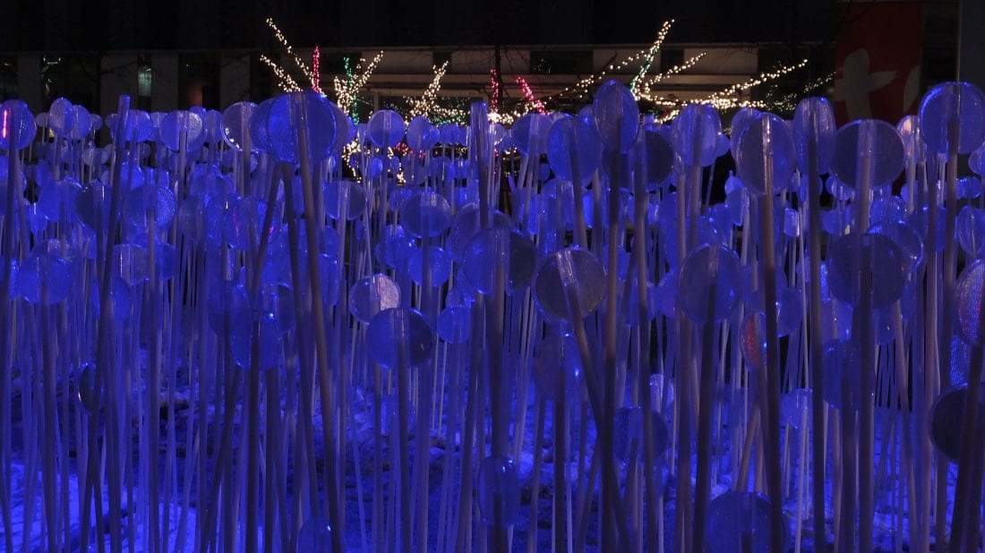 Six Free Things to Do in Montreal Just a Pack