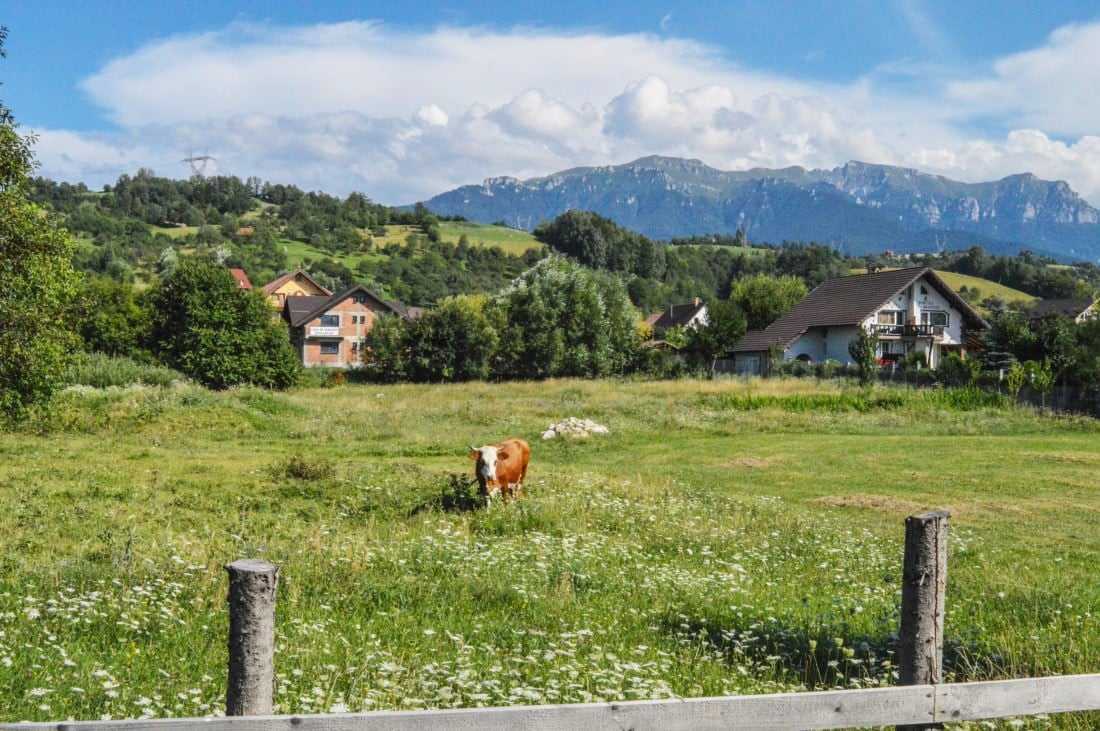 Transylvania landscape, Romania