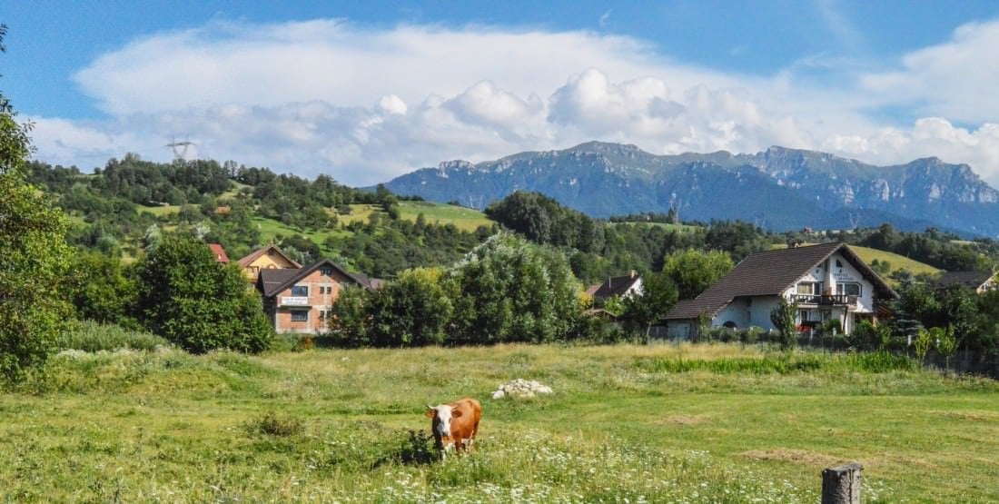 The countryside out side of Bran Romania