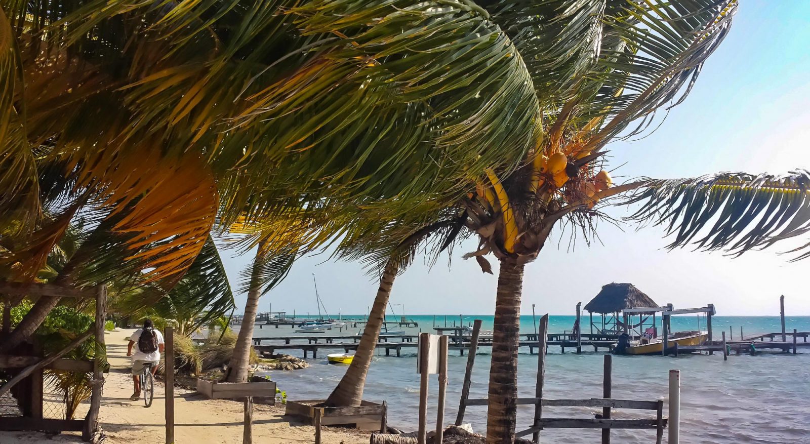 Caye Caulker Belize on an Budget Just a Pack