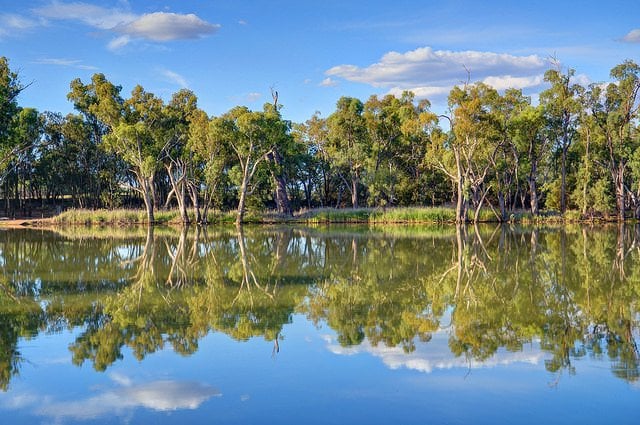 Murray River Australia