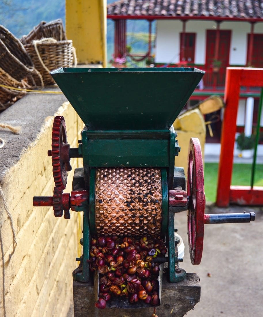 coffee plantation tour salento colombia