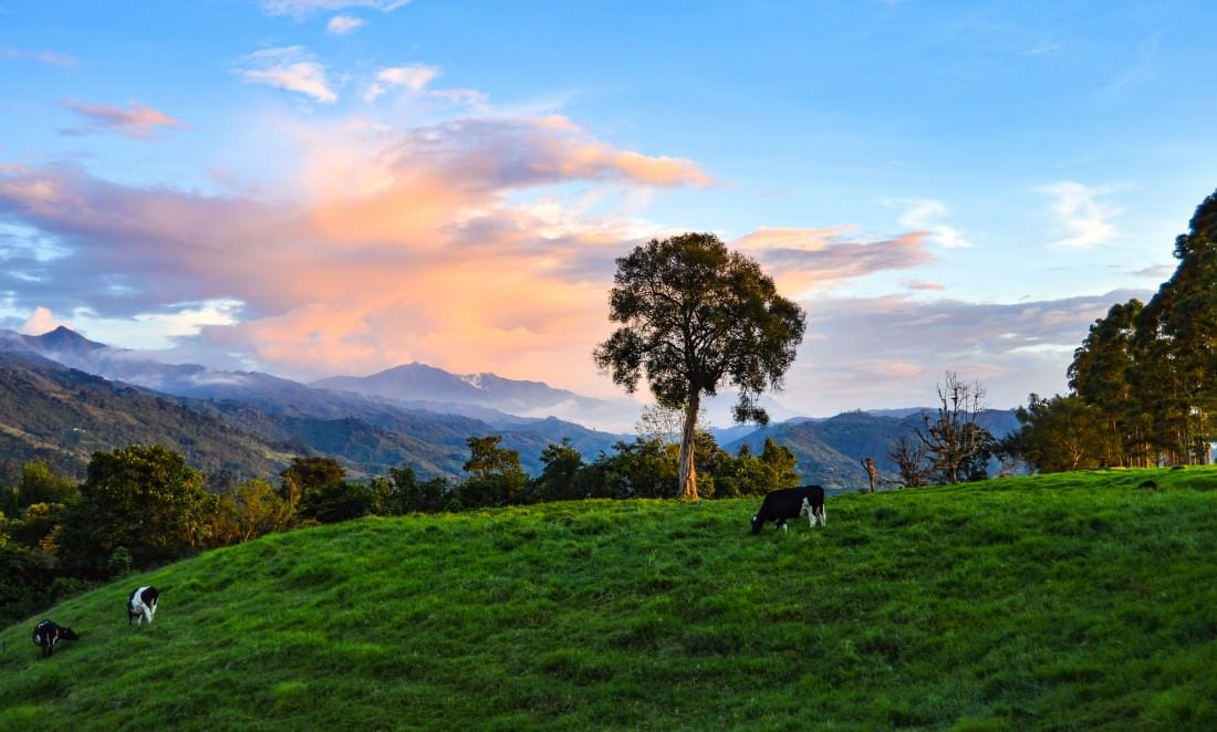 sunset outside of salento colombia