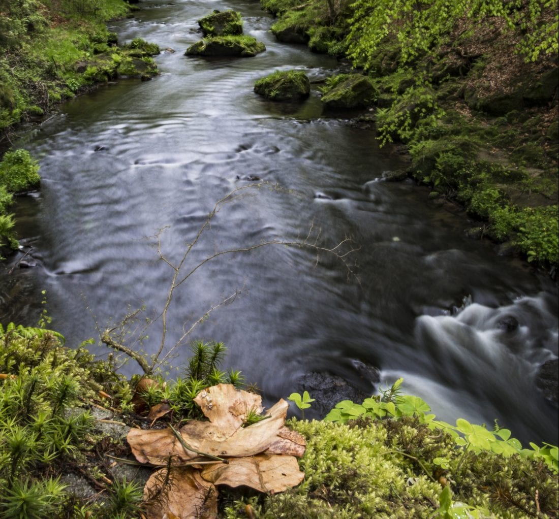 Day trips from Prague Soutěsky Kamenice - The Gorges of Kamenice