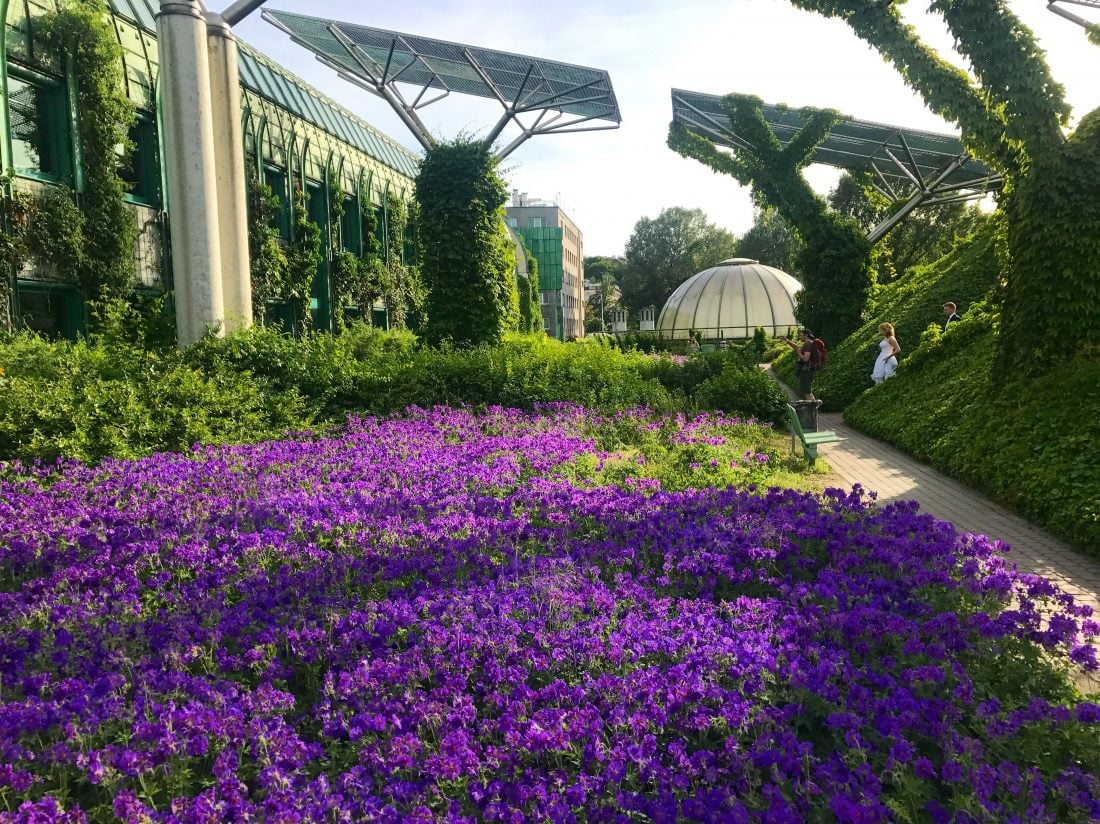 Warsaw University Library Park