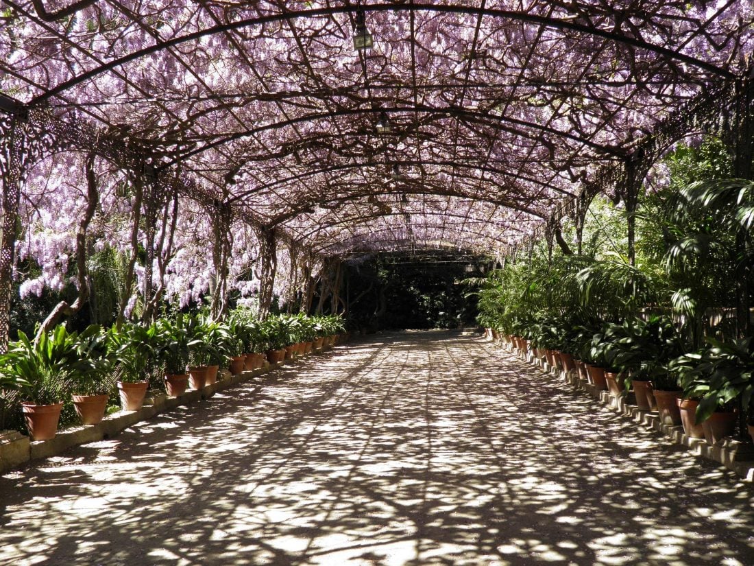 Malaga Botanical Garden