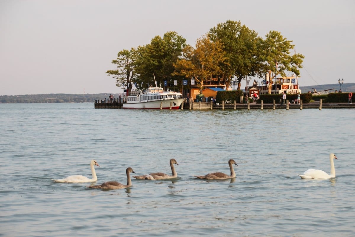 Complete Guide to a Summer Holiday in Lake Balaton, Hungary Just a Pack