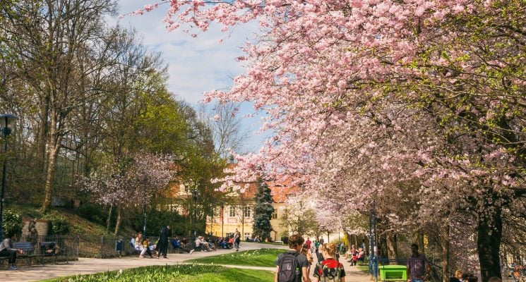 how to spend a weekend in prague - petrin park in spring