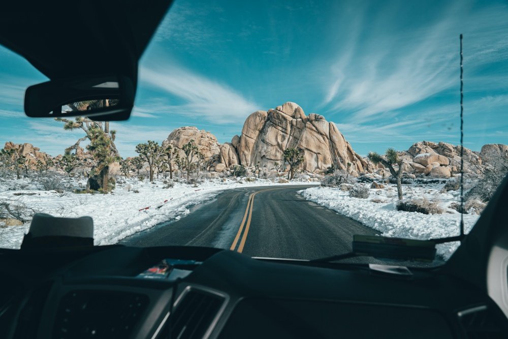 joshua tree road trip