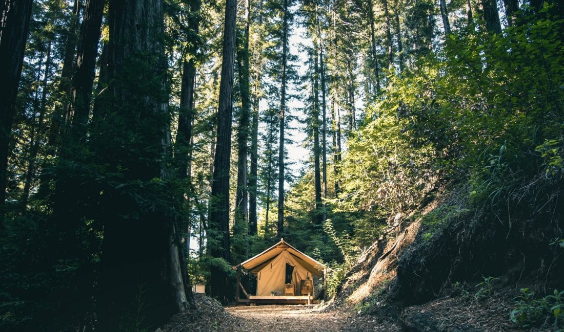 a camping lodge among the redwoods of Big Sur Park, near Monterey California