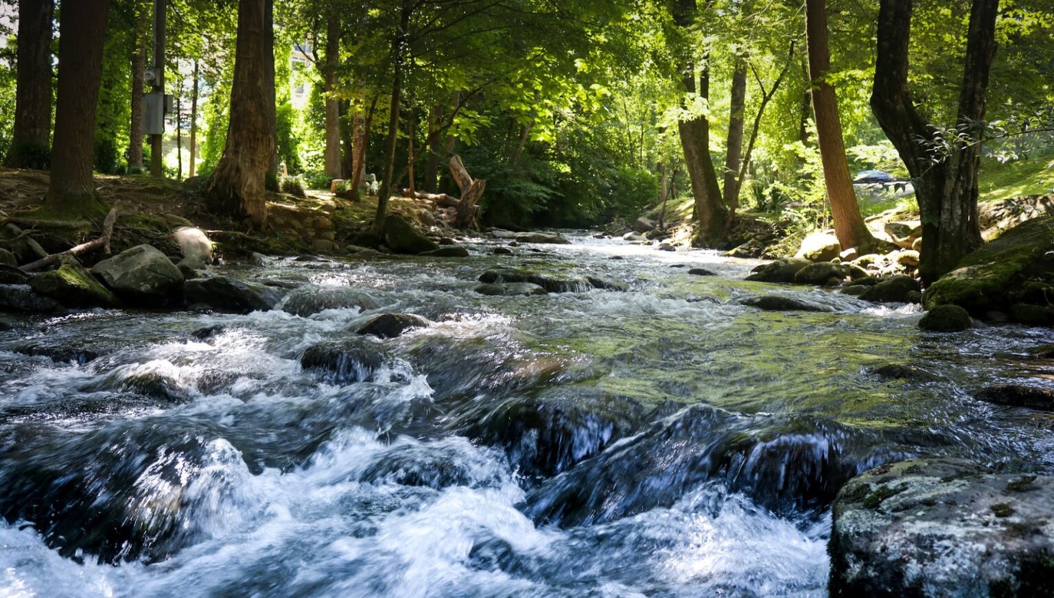 14 Best Waterfall Hikes in Gatlinburg Smokey Mountain Hiking