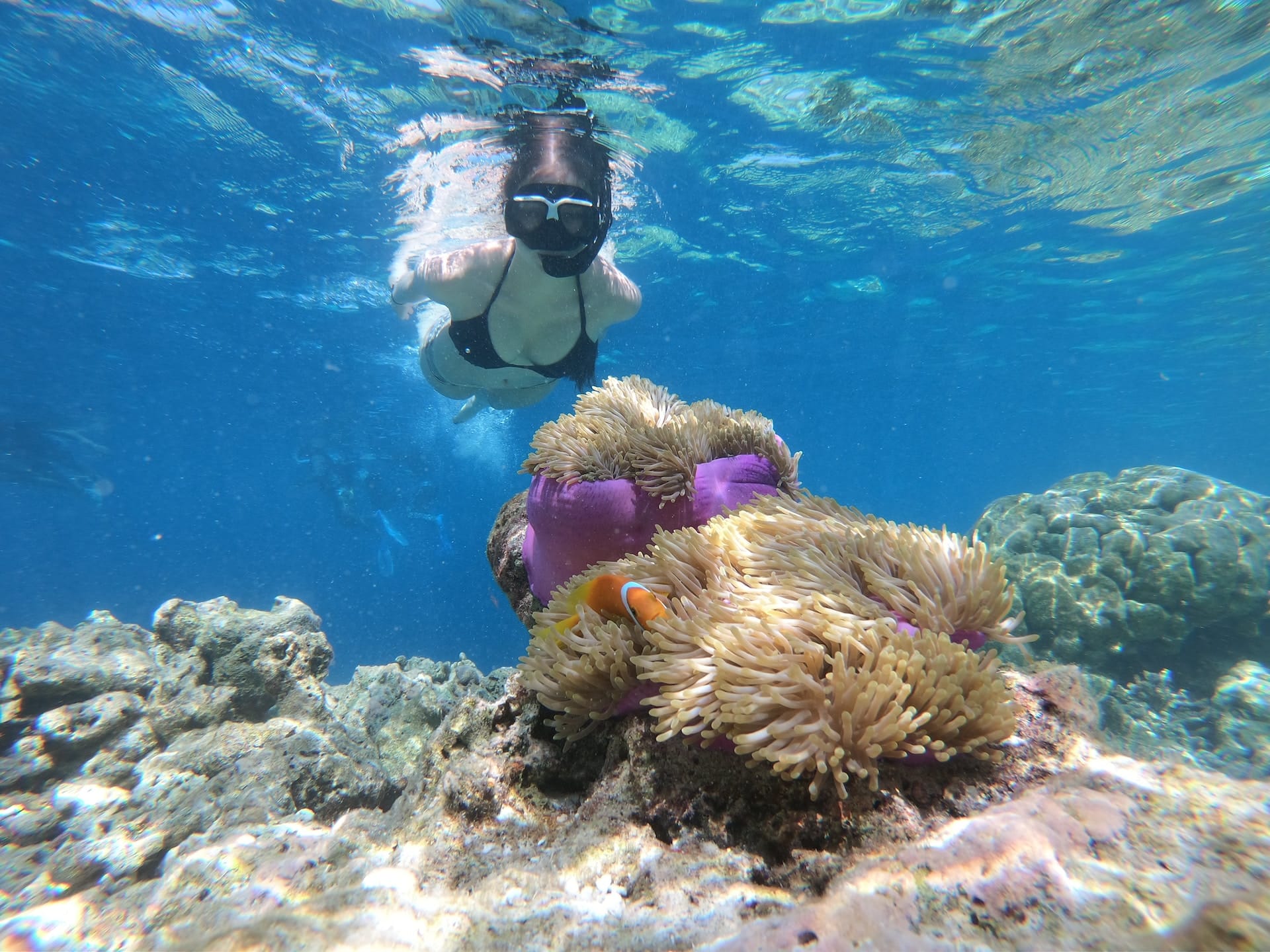 Best Snorkeling in Oahu 22 Unbeatable Spots Just a Pack